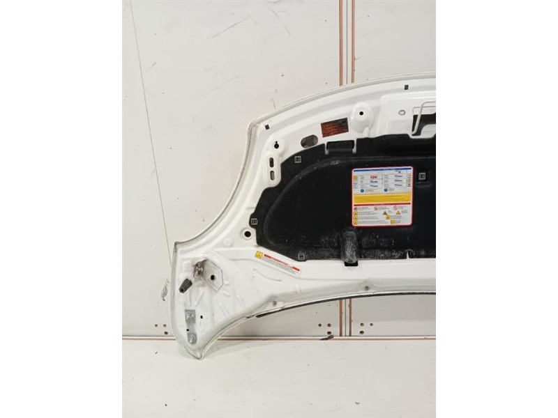 Cofano ANT 1689787180 Fiat 500L 2013