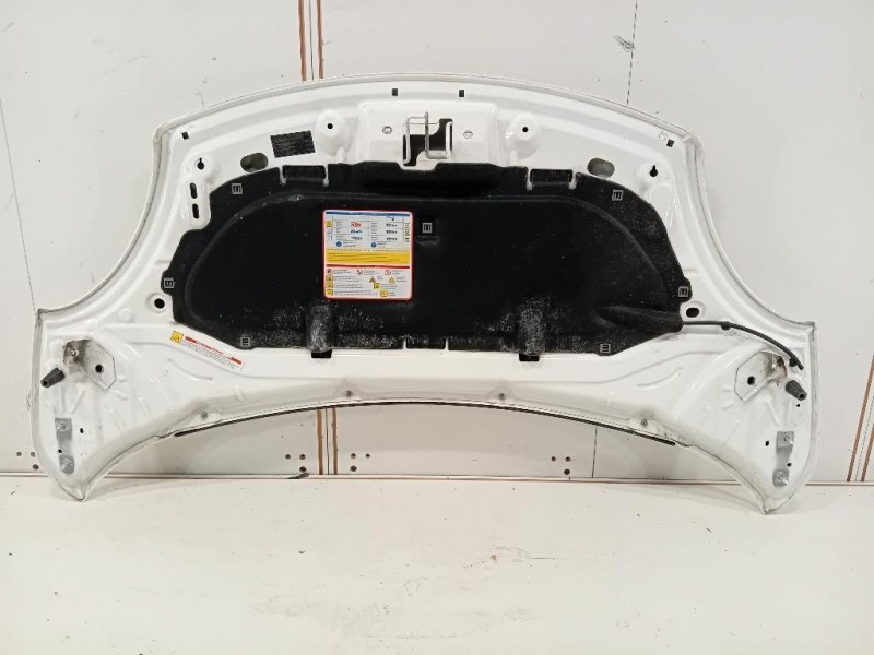 Cofano ANT 1689787180 Fiat 500L 2013