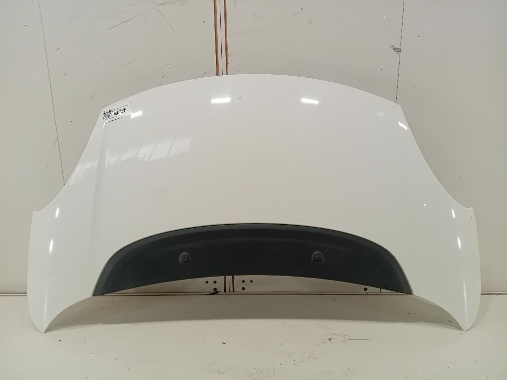 Cofano ANT 1689787180 Fiat 500L 2013