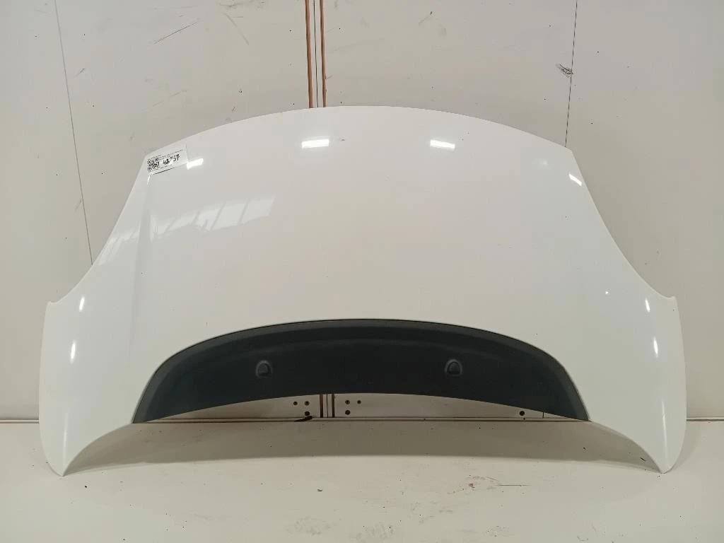 Cofano ANT 1689787180 Fiat 500L 2013