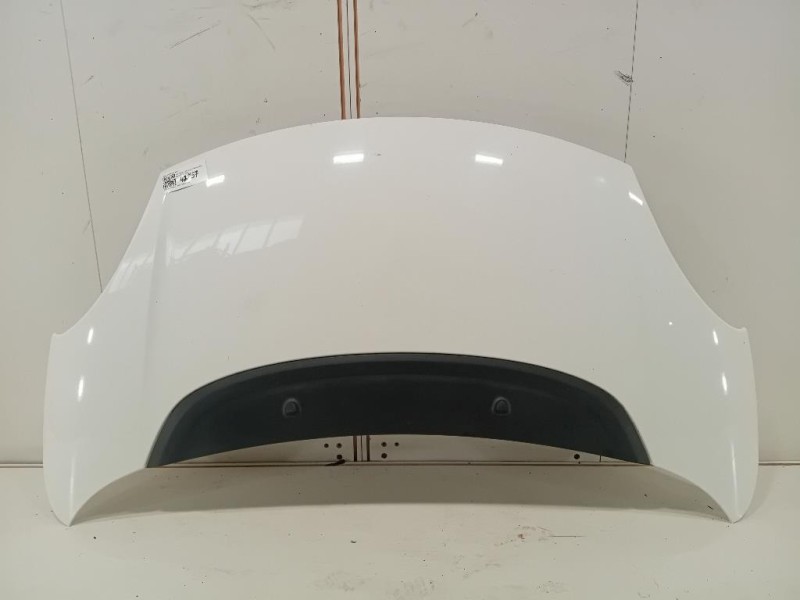 Cofano ANT 1689787180 Fiat 500L 2013