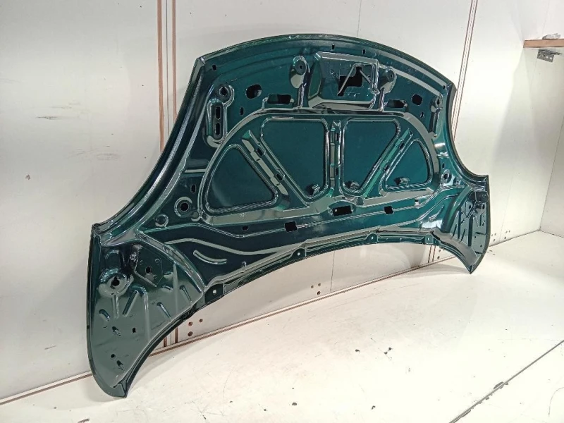 Cofano ANT 1689787180 Fiat 500L 2013