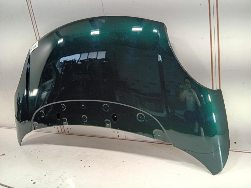 Cofano ANT 1689787180 Fiat 500L 2013