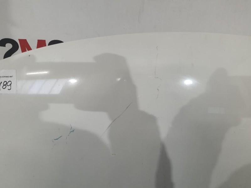 Cofano ANT 51883012 Fiat 500L 2013