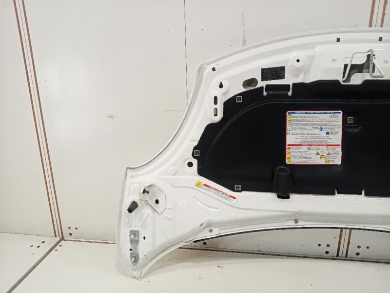 Cofano ANT 1689787180 Fiat 500L 2013