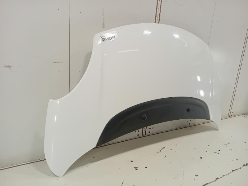 Cofano ANT 1689787180 Fiat 500L 2013