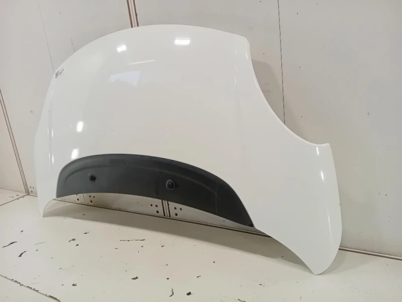 Cofano ANT 1689787180 Fiat 500L 2013