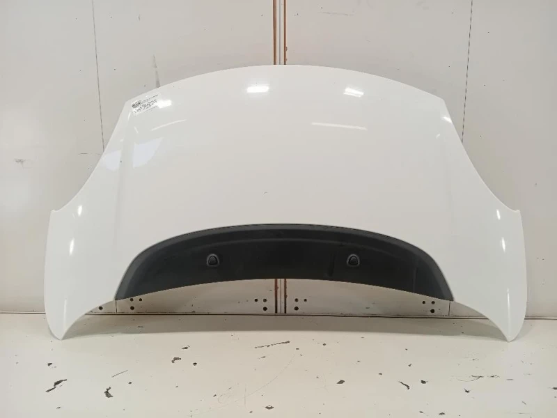 Cofano ANT 1689787180 Fiat 500L 2013