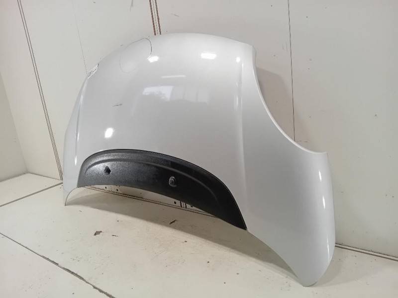 Cofano ANT 1689787180 Fiat 500L 2013