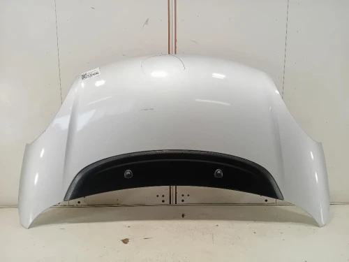 Cofano ANT 1689787180 Fiat 500L 2013