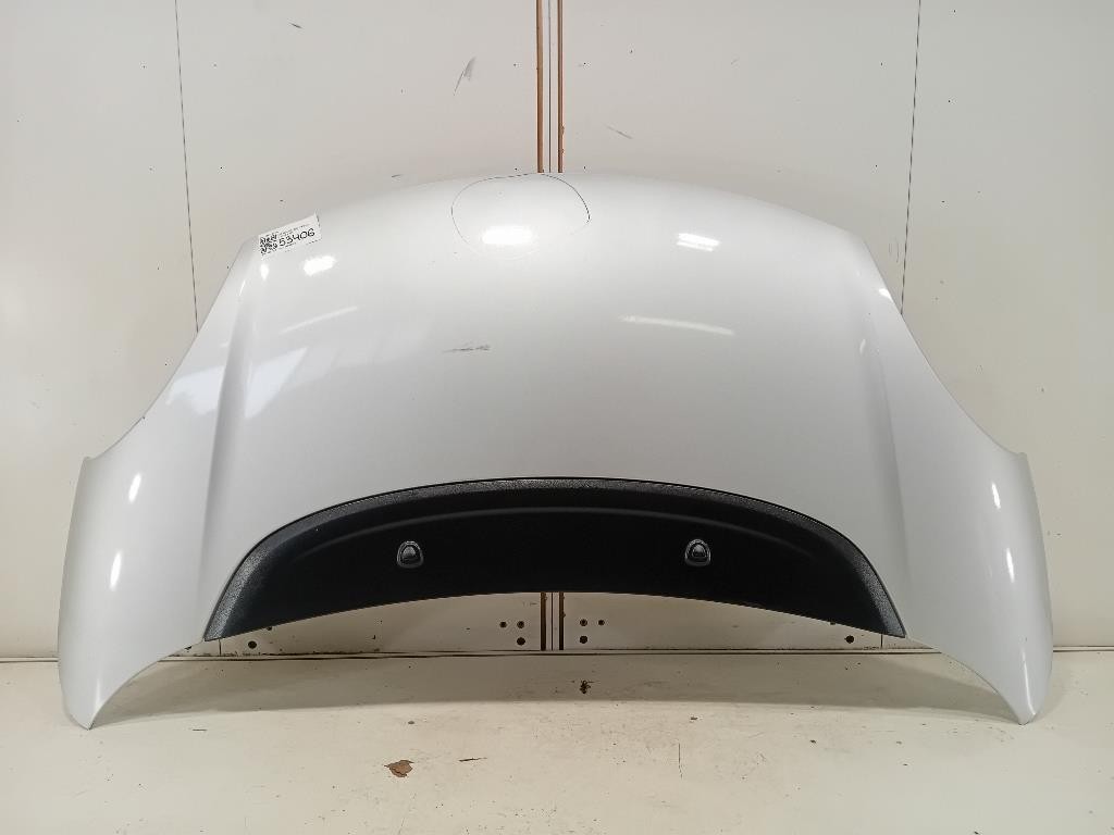 Cofano ANT 1689787180 Fiat 500L 2013