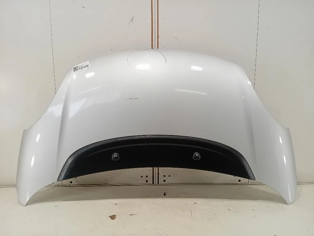 Cofano ANT 1689787180 Fiat 500L 2013