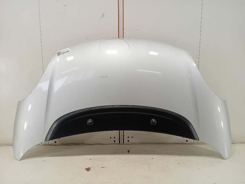 Cofano ANT 1689787180 Fiat 500L 2013