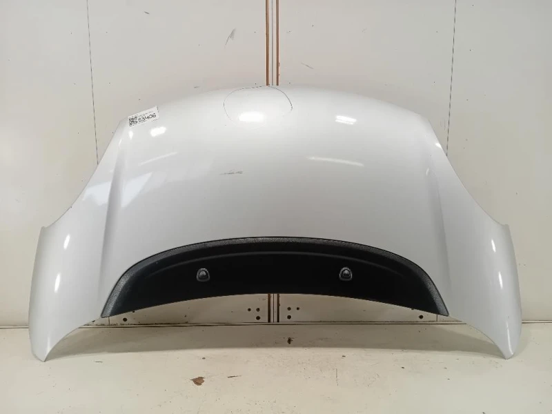 Cofano ANT 1689787180 Fiat 500L 2013