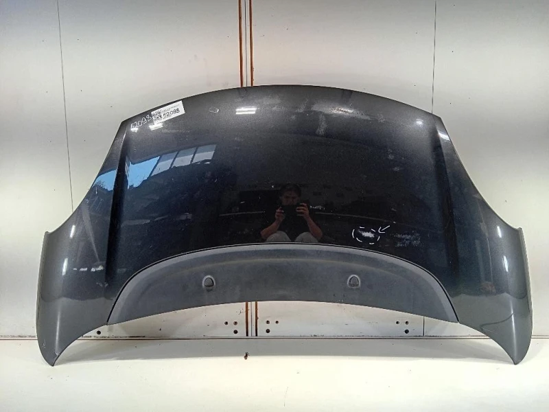 Cofano ANT 1689787180 Fiat 500L 2013