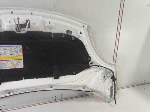 Cofano ANT 1689787180 Fiat 500L 2013