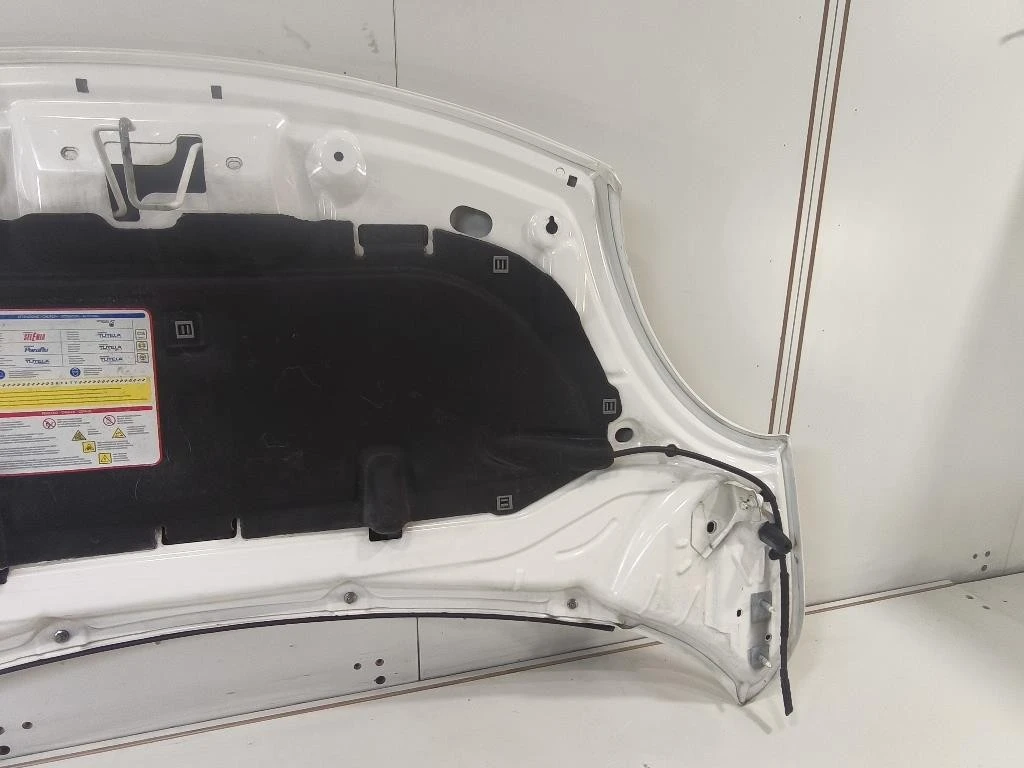 Cofano ANT 1689787180 Fiat 500L 2013