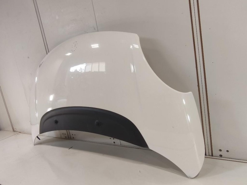 Cofano ANT 1689787180 Fiat 500L 2013