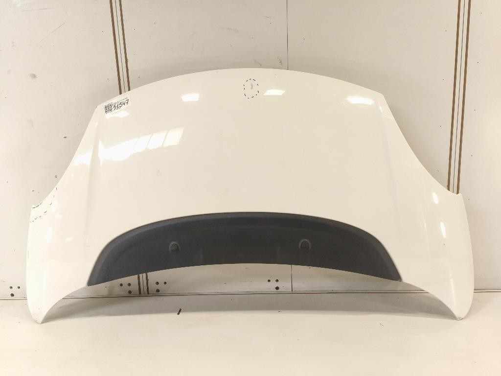 Cofano ANT 1689787180 Fiat 500L 2013