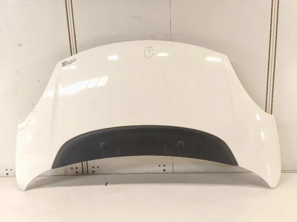 Cofano ANT 1689787180 Fiat 500L 2013