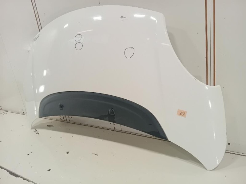 Cofano ANT 1689787180 Fiat 500L 2013