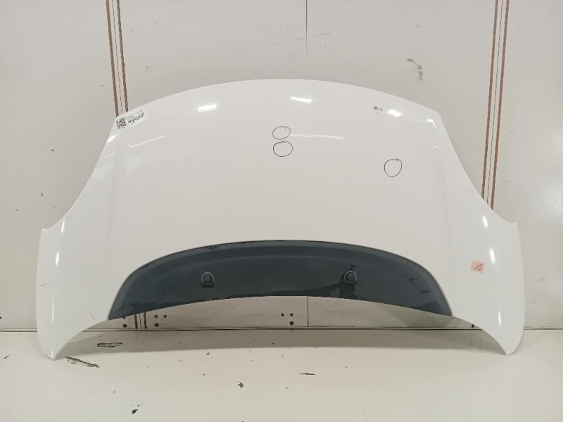 Cofano ANT 1689787180 Fiat 500L 2013