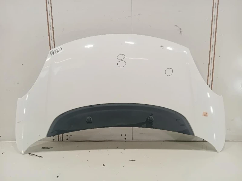 Cofano ANT 1689787180 Fiat 500L 2013