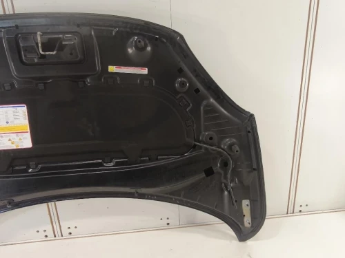 Cofano ANT 52111389 Fiat 500X 2015