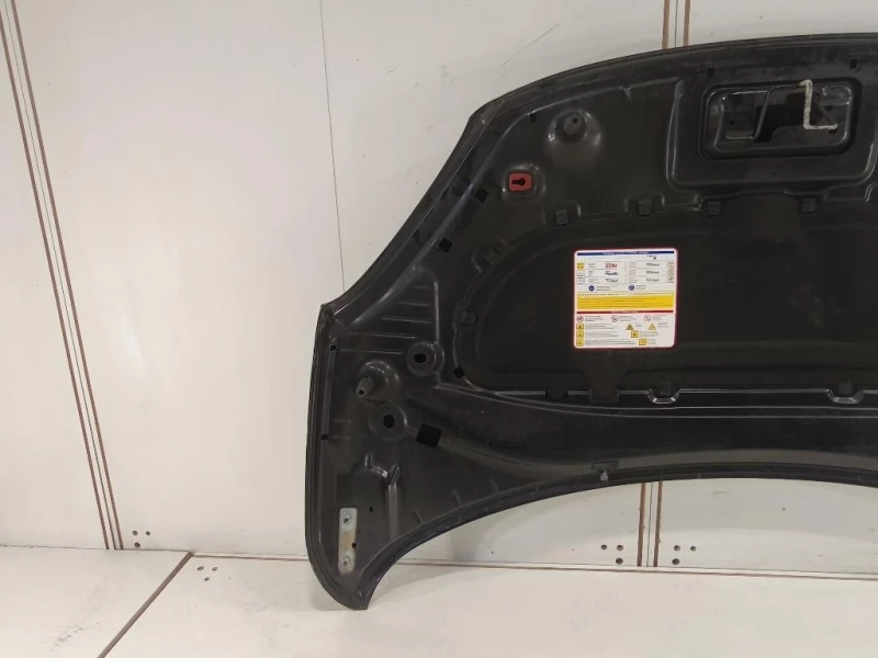 Cofano ANT 52111389 Fiat 500X 2015