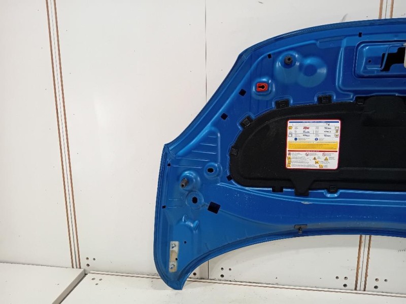 Cofano ANT 52111389 Fiat 500X 2018