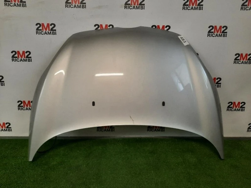 Cofano ANT 2002312 Ford Fiesta VI 2008