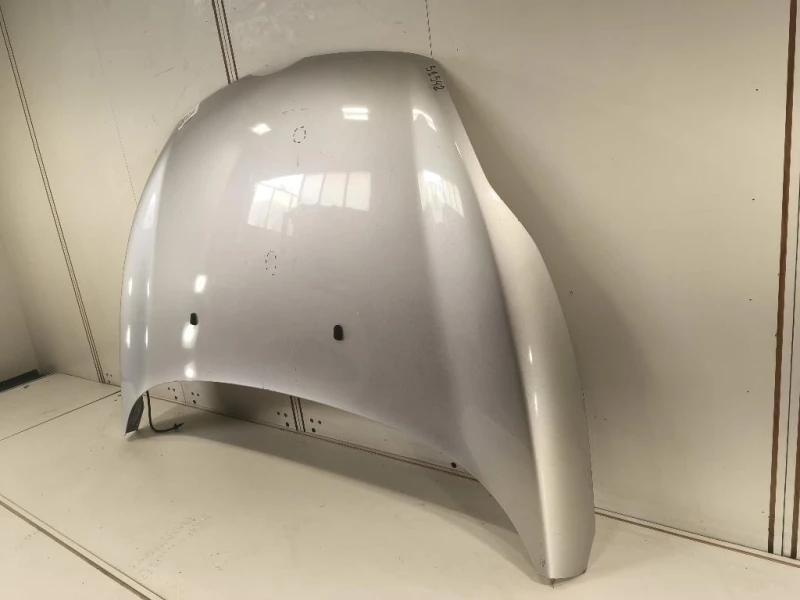 Cofano ANT 2002312 Ford Fiesta VI 2008