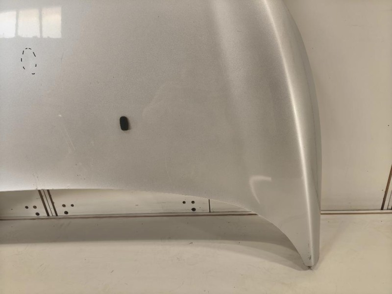 Cofano ANT 2002312 Ford Fiesta VI 2008