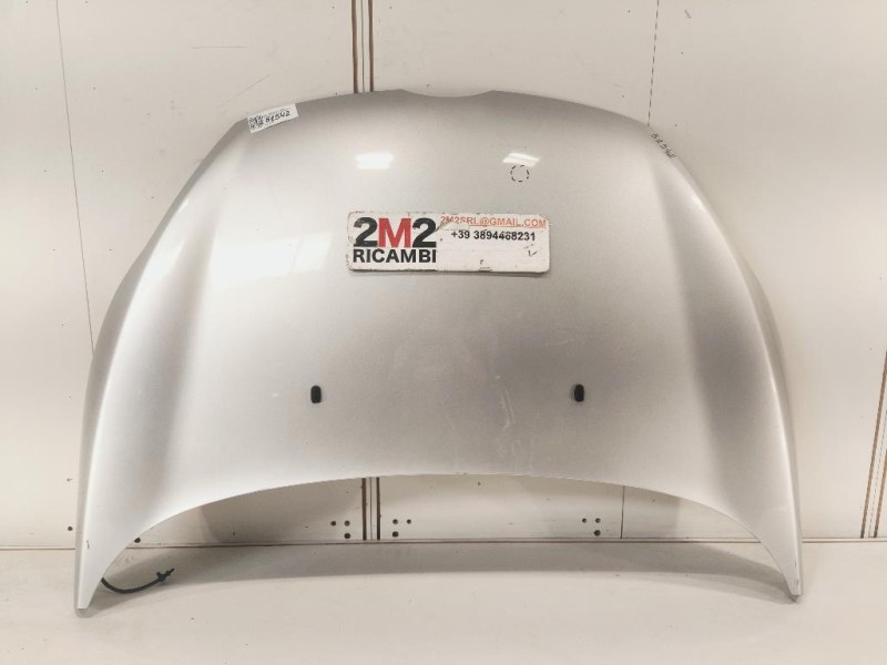 Cofano ANT 2002312 Ford Fiesta VI 2008