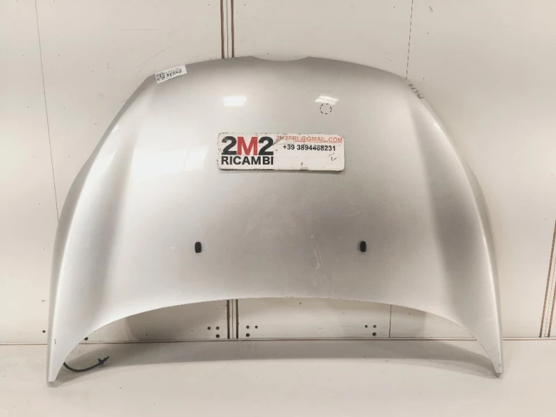 Cofano ANT 2002312 Ford Fiesta VI 2008