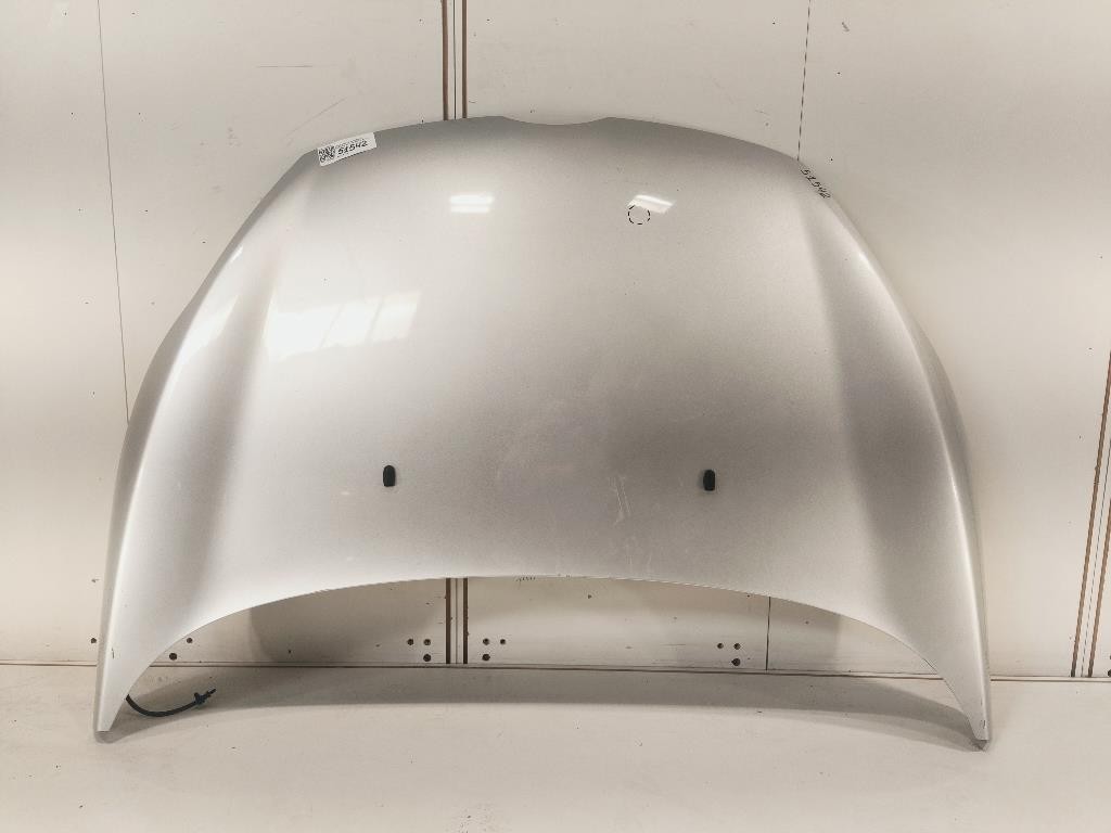 Cofano ANT 2002312 Ford Fiesta VI 2008