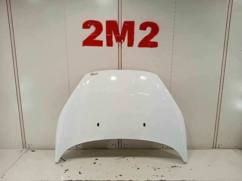 Cofano ANT 2002312 Ford Fiesta VI 2012