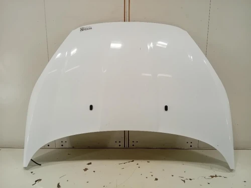 Cofano ANT 2002312 Ford Fiesta VI 2012