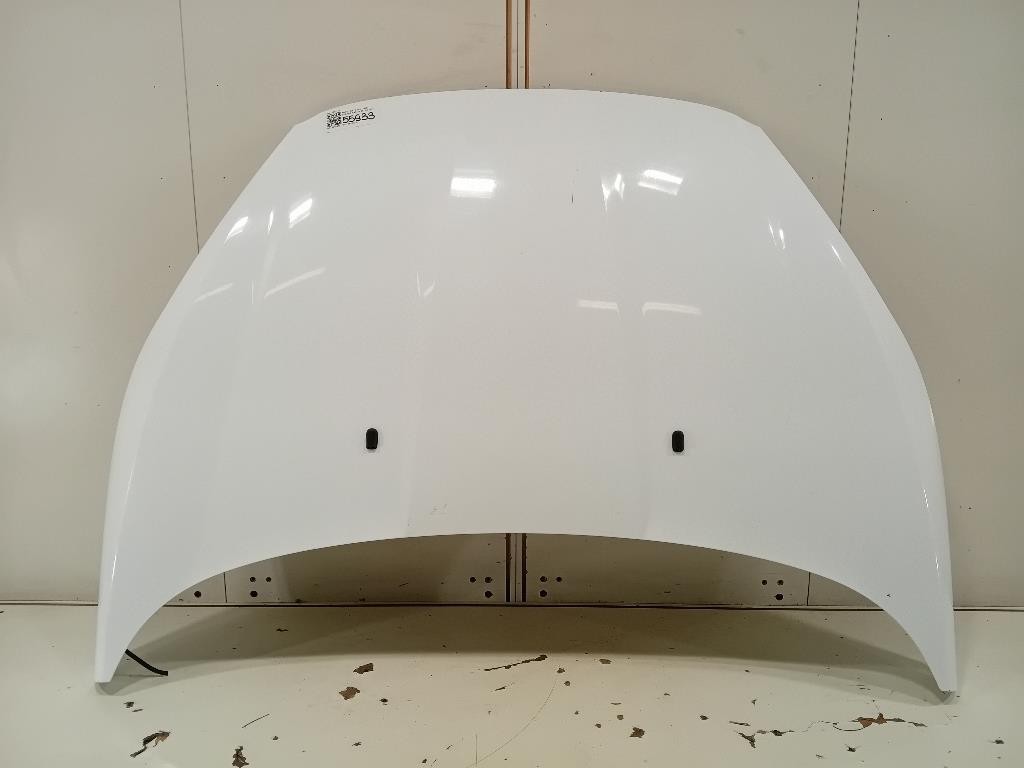 Cofano ANT 2002312 Ford Fiesta VI 2012