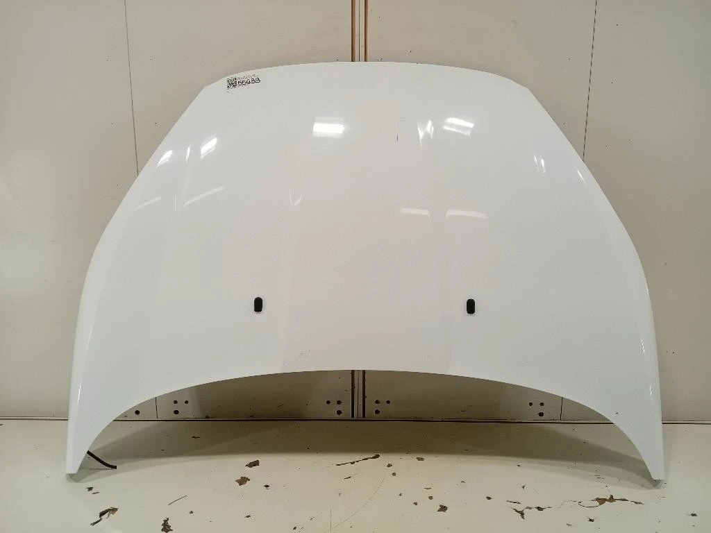 Cofano ANT 2002312 Ford Fiesta VI 2012