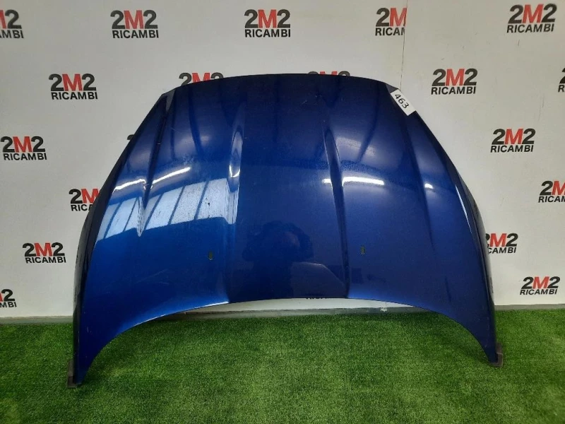 Cofano ANT 2002312 Ford Fiesta VI 2012