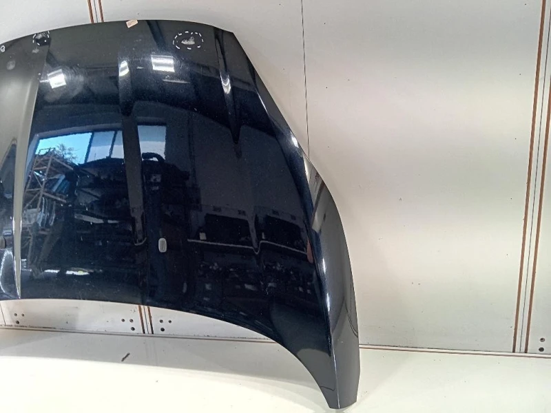 Cofano ANT 2002312 Ford Fiesta VI VAN 2012