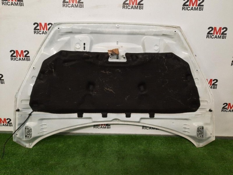 Cofano ANT 1852919 Ford Focus IV 2014