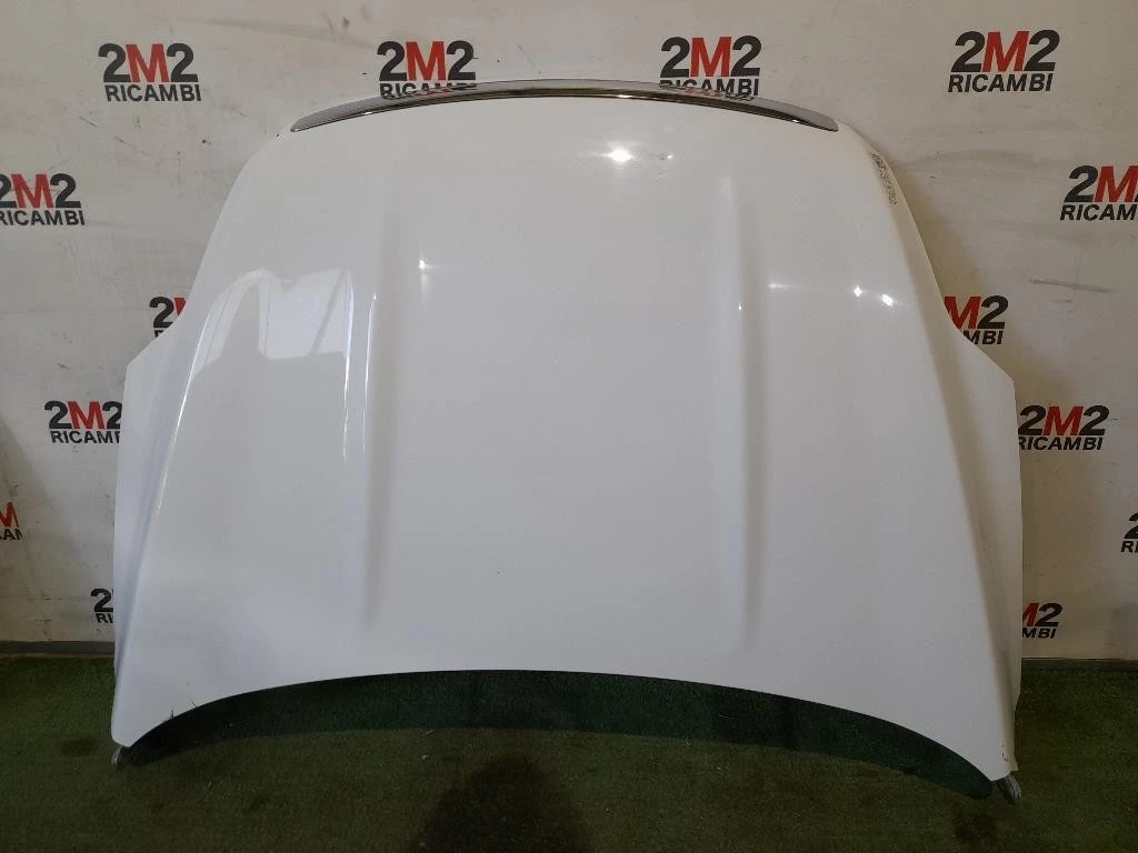 Cofano ANT 1718513 Ford KUGA I 2008