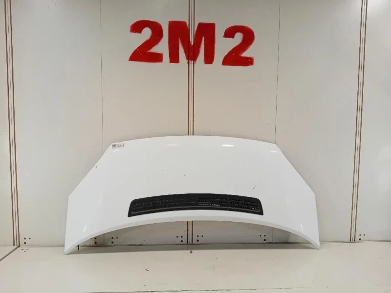 Cofano ANT 2454107 Ford Transit V 2011