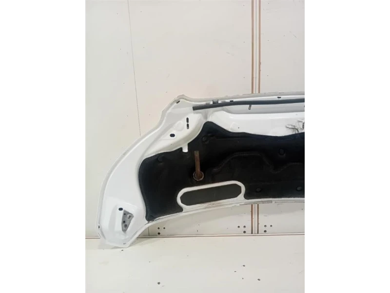 Cofano ANT 2446035 Ford Transit VI 2014