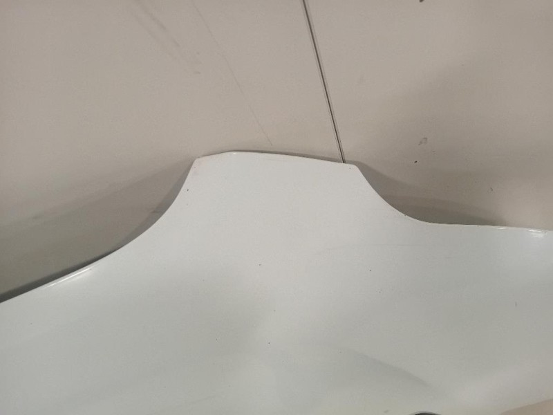 Cofano ANT 2446035 Ford Transit VI 2014