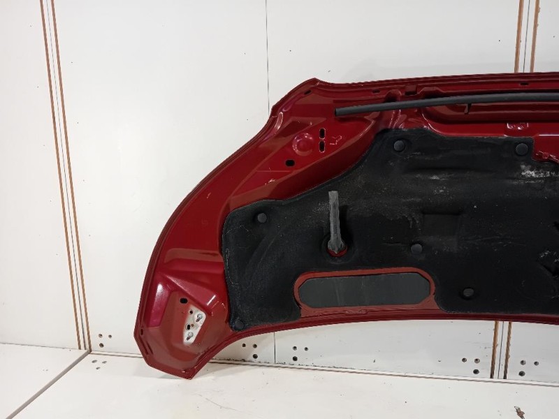 Cofano ANT 2485550 Ford Transit VI 2019