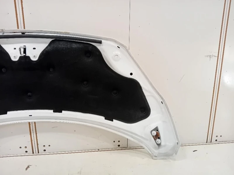 Cofano ANT 2445243 Ford Transit Custom I 2013