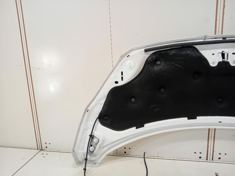 Cofano ANT 2445243 Ford Transit Custom I 2013